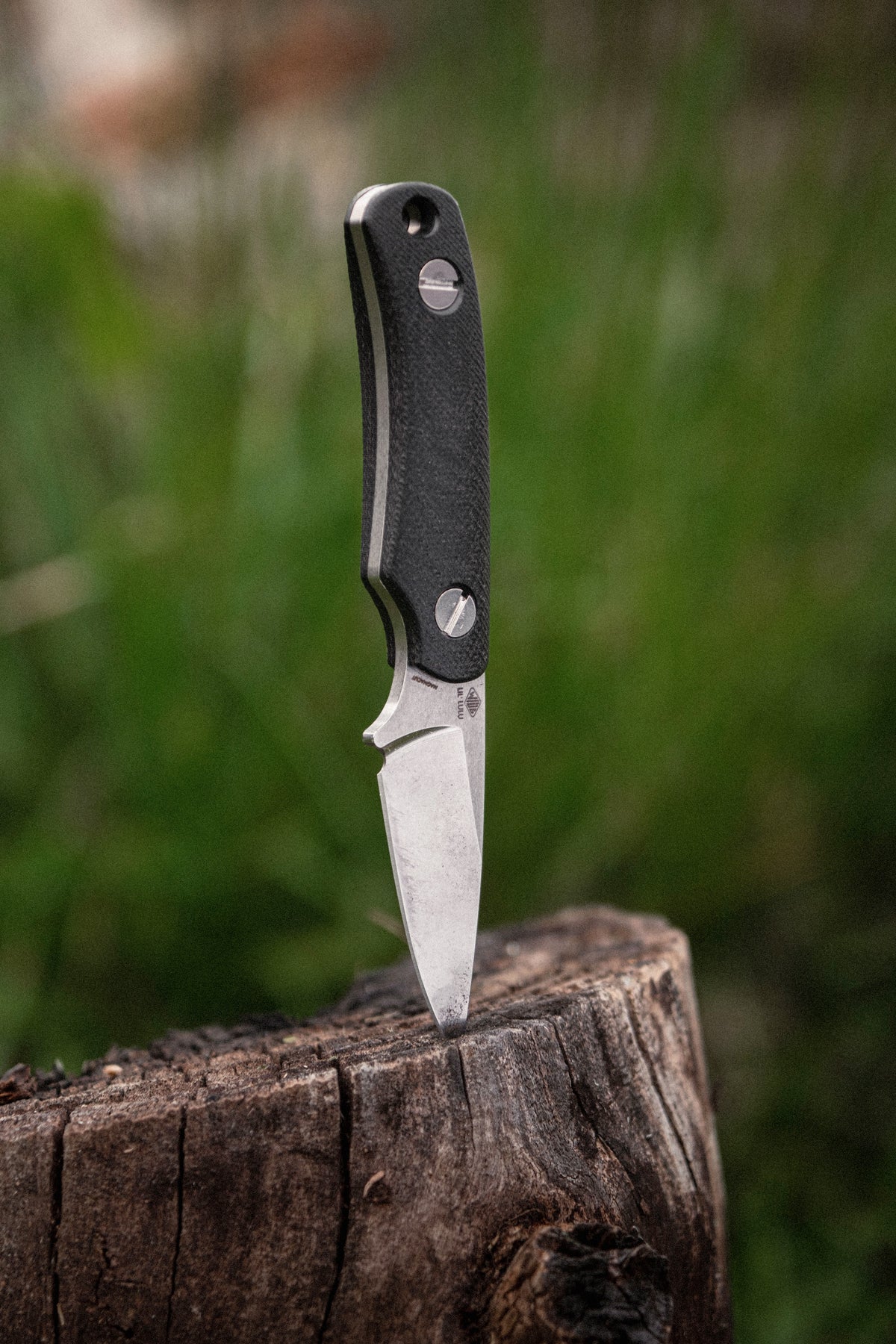 Little Lulu fixed blade knife with black micarta handle, blade tip embedded in tree stump outdoors